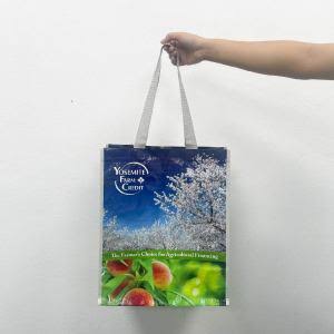 Grocery Non Woven Bags – Custom Print