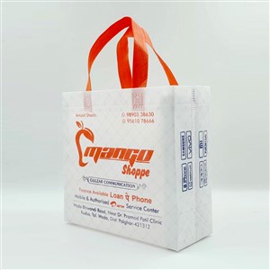 Exhibition Shopping Non Woven Carry Bags