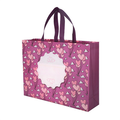 Custom Logo Premium Gift Non Woven Bags