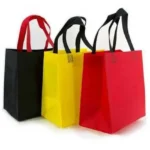 Non Woven Laundry Bags